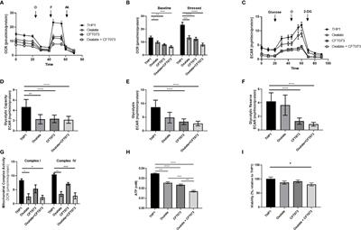 Oxalate Alters Cellular Bioenergetics, Redox Homeostasis, Antibacterial Response, and Immune Response in Macrophages